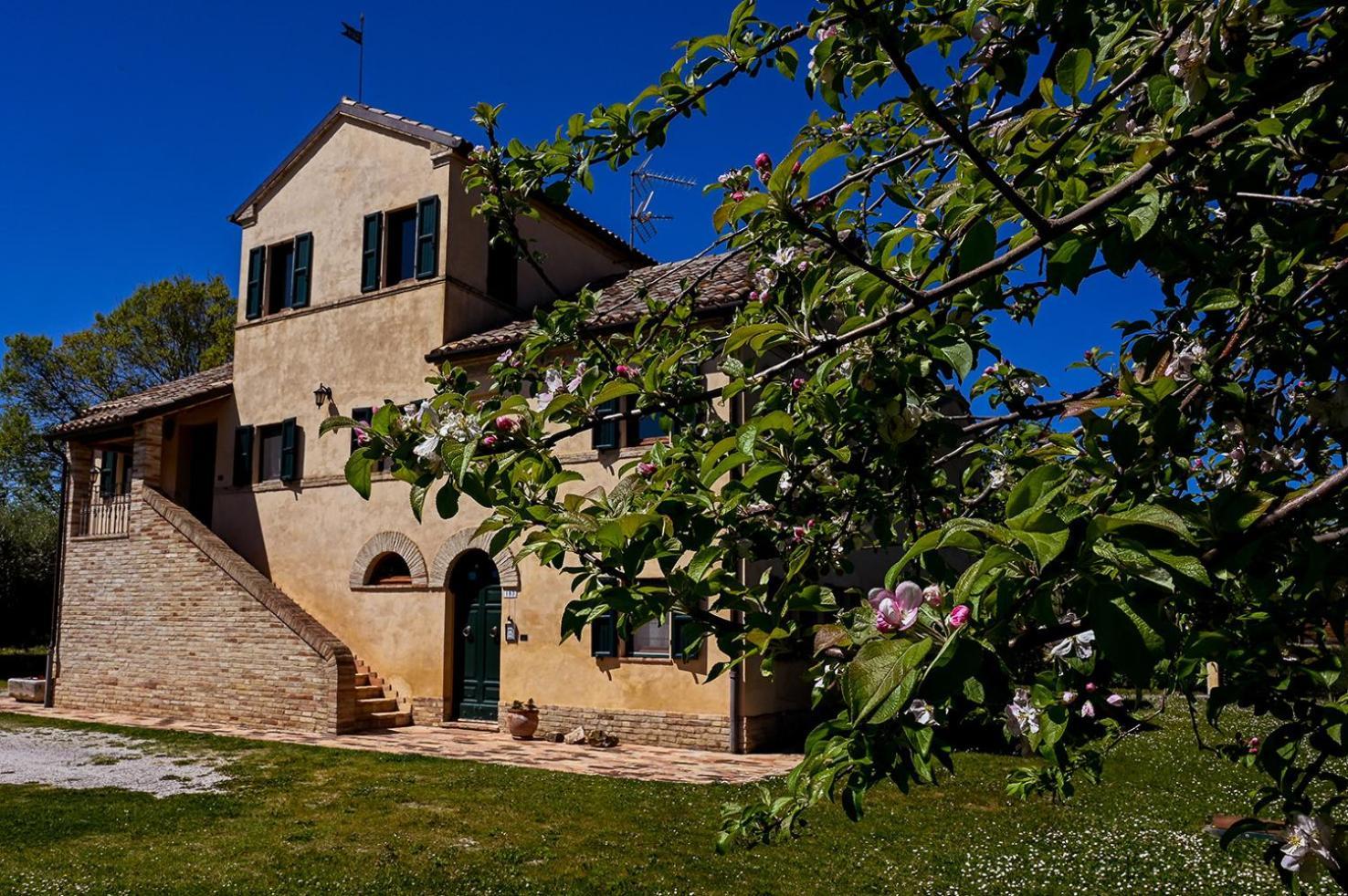 I Ciliegi Bed & Breakfast โอซิโม ภายนอก รูปภาพ
