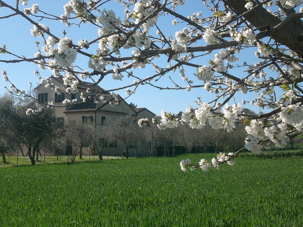 I Ciliegi Bed & Breakfast โอซิโม ภายนอก รูปภาพ