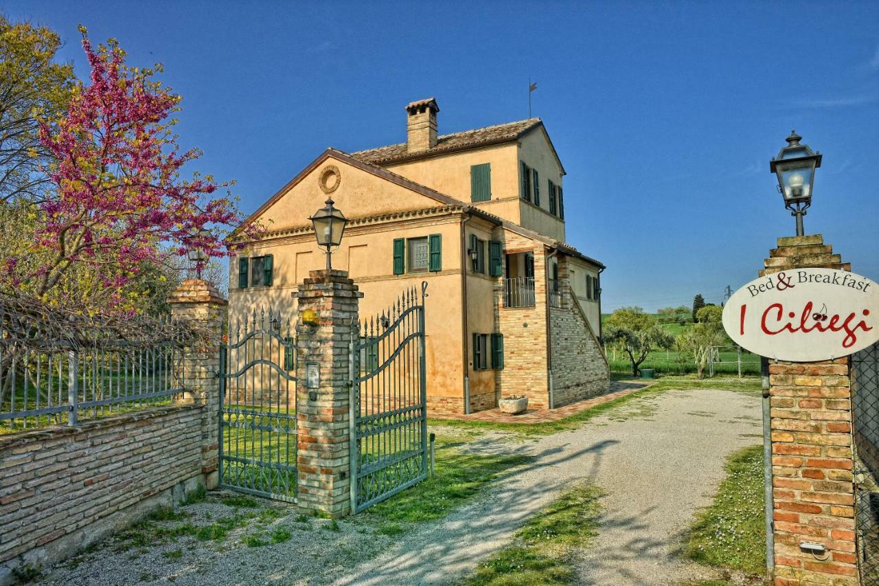 I Ciliegi Bed & Breakfast โอซิโม ภายนอก รูปภาพ